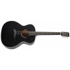 Tanglewood TWBB O (Akustická gitara typu Orchestra)