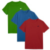 Tričká 4F M 4FWSS25TTSHM3956-96S muži 4XL