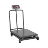 Steinberg Systems Plošinová váha - 600 kg / 0,1 kg - 60 x 50 cm - pojazdná - LED SBS-PF-600/100W