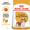 Royal Canin Adult Cavalier King Charles granule pre dospelých psov 1,5 kg