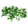 Lucky Reptile Jungle Vine Gape Leaf Vine 200 cm