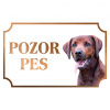 Redbonov Coonhound - Kovová tabuľka POZOR PES