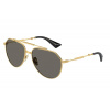 Dolce & Gabbana DG2302 02/R5