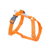Amiplay Samba Nastaviteľný postroj Guard - L 35-60 [b] 50-75 [d] x 2,5 cm - Oranžová