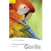 The Amazon Rainforest - Bernard Smith