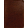 ESV New Testament with Psalms and Proverbs (Trutone, Chestnut) (Kniha)