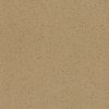 PaviFlex Fitness ECO Standard Color 100x100cm 5mm športová podlaha