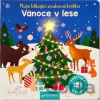 Moje blikající zvuková knížka: Vánoce v lese - Maria Hoeck, Kasia Dudziuk (ilustrátor)