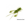 Ráčik FishUp Real Craw 4,8cm Prevedenie: Watermelon Seed 042