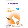 SCHMUSY Krém Kattovit Urinary kura 6x15g