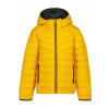Zimná bunda Icepeak Kamiah 152