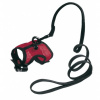 Ferplast Jogging Small postroj