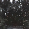CD Immortal: Battles In The North LTD | DIGI