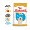 ROYAL CANIN Golden Retriever Puppy 2 x 12 kg granule pre šteňa zlatého retrievera