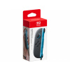 Nintendo Switch 2 Joy-Con Pair N2P102