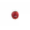 NINO NINO596 Shaker Red Apple