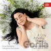 A Lily Among Thorns CD