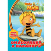Včelka Mája - Omalovánky a hádanky 2