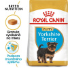 Royal Canin Puppy Yorkshire Terrier granule pre šteniatka 500 g