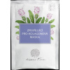 Zpevňující pro-kolagenová maska 25 g NOBILIS TILIA