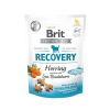 VAFO Pamlsok Brit Care Dog Functional Snack Recovery Hering 150 g
