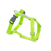 Amiplay Samba Nastaviteľný postroj Guard - L 35-60 [b] 50-75 [d] x 2,5 cm - Zelená