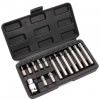 Sada bitov 15-dielna TORX, XL-TOOLS