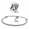 PANDORA set Birthdays - znamenie Lev 599652C01-2+798414C01