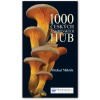 1000 českých a slovenských hub - Michal Mikšík