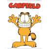 CUKROVÁ TLAČ jedlý obrázok na tortu Cukrová hmota Garfield mačiatko + MENO
