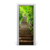 Fototapeta na dvere schody do lesa 75x205
