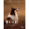 Buff: A Collie