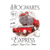 Carbotex Detský uterák Harry Potter Rokfortský Express 30x50 cm