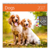 Dogs 2027 - nástěnný kalendář - Helma