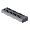 DELOCK, External SuperSpeed USB Hub with 13 Port 63738
