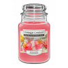 Tradičná parafínová sviečka MIDNIGHT MAGNÓLIA Yankee Candle 1 ks