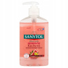 SANYTOL Dezinfekčné mydlo Kuchyňa 250 ml