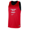 Nike Reversible Practice Jersey Chicago Bulls L