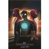CUKROVÁ TLAČ jedlý obrázok na tortu Cukrová hmota Spider-Man No way home Avengers
