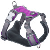 Postroj pre psa Red Dingo Dingo 62-108 cm 72-112 cm Purpurová XL