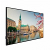 Vestel Digital Signage displej PN43D-4H Android