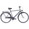 KOZBIKE Mestský bicykel Denver S3 3 prevodový Grafitová matná 28