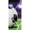 Dverová fototapeta - DV0069 - Futbalová lopta 91cm x 211cm - Vliesová fototapeta