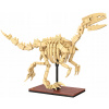 KOCKY CADA SADA KOSTRA MODEL DINO VELOCIRAPTOR DINOSAUR FOSSILS 256