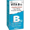 Vitabalans VITA B12 + kyselina listová (1 mg/ 400 mcg) pastilky 1x100 ks