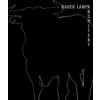Radek Lampa architekt - Radek Lampa
