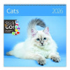 Cats 2026 - nástenný kalendár