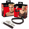 Bad Kitty Collar and Leash