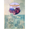 Osvobození 4 - Bitva o Berlín - DVD /dárkový obal/
