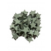 Drevená hviezdička 2cm - mentolová